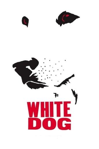 White Dog poster image