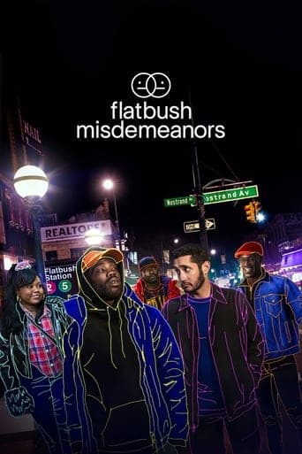 Flatbush Misdemeanors poster image