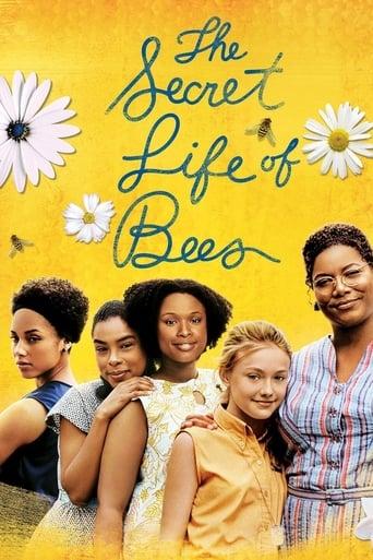 The Secret Life of Bees poster image