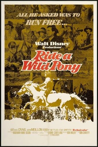 Ride a Wild Pony poster image