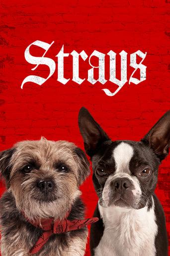 Strays poster image