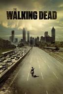 The Walking Dead poster image