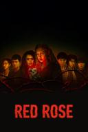 Red Rose poster image