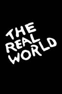 The Real World poster image