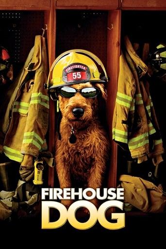 Firehouse Dog poster image