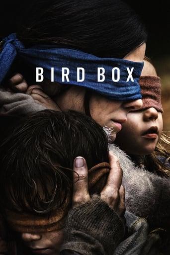 Bird Box poster image
