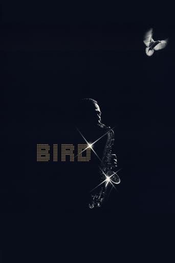 Bird poster image