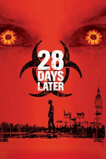 28 Days Later poster image