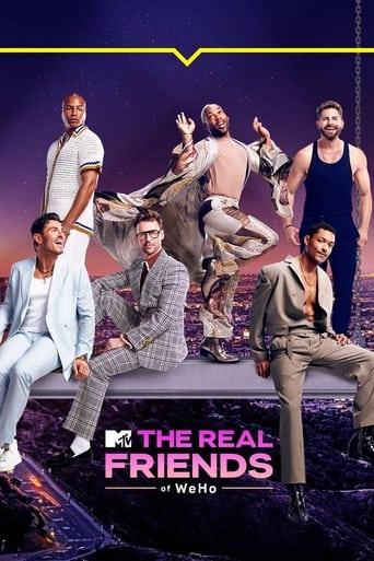 The Real Friends of WeHo poster image