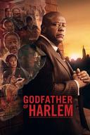 Godfather of Harlem poster image