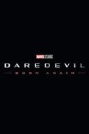 Daredevil: Born Again poster image