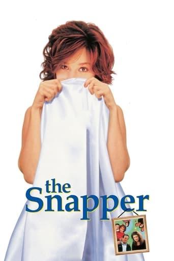 The Snapper poster image