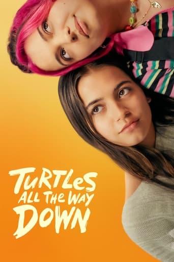Turtles All the Way Down poster image