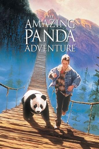 The Amazing Panda Adventure poster image