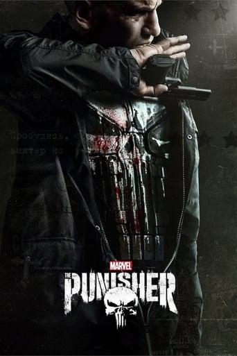 Marvel's The Punisher poster image