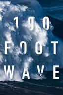 100 Foot Wave poster image