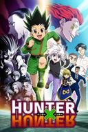 Hunter x Hunter poster image