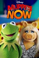 Muppets Now poster image