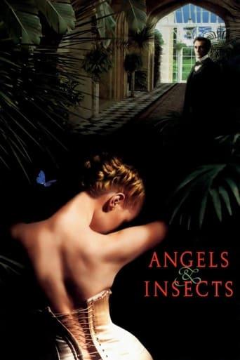 Angels and Insects poster image