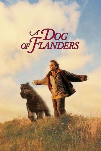A Dog of Flanders poster image