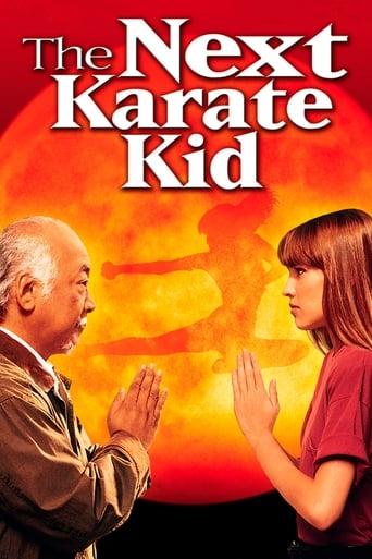 The Next Karate Kid poster image