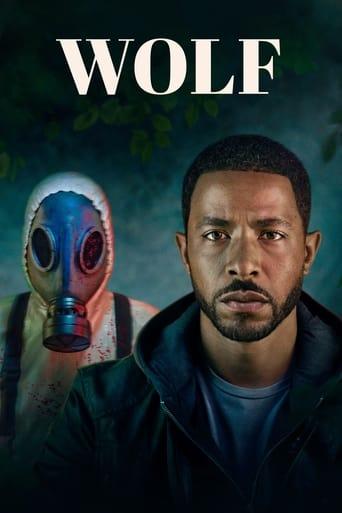 Wolf poster image