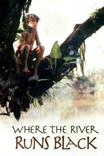 Where the River Runs Black poster image