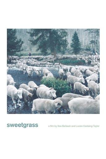 Sweetgrass poster image
