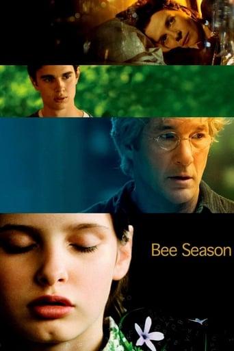 Bee Season poster image