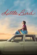Little Bird poster image