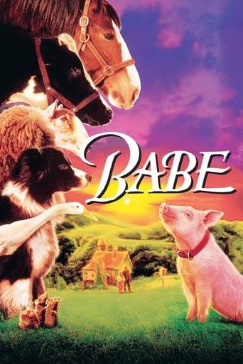 Babe poster image