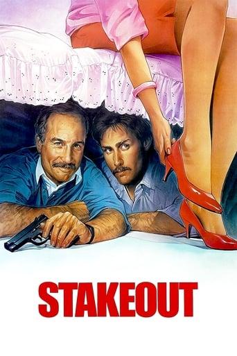 Stakeout poster image