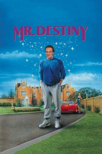 Mr. Destiny poster image