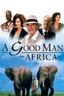A Good Man in Africa poster