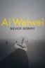 Ai Weiwei: Never Sorry poster