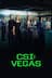 CSI: Vegas stats legend