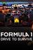 Formula 1: Drive to Survive stats legend