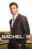 The Bachelor poster