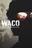 Waco: American Apocalypse stats legend