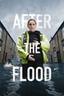 After the Flood poster