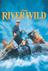 The River Wild poster