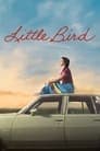 Little Bird poster
