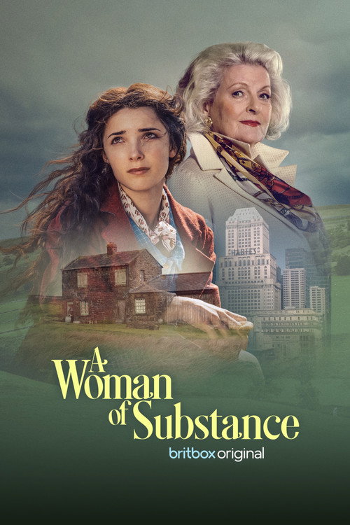 A Woman of Substance poster